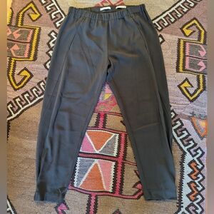 Aritzia Babaton pant